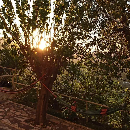Heras Garden
